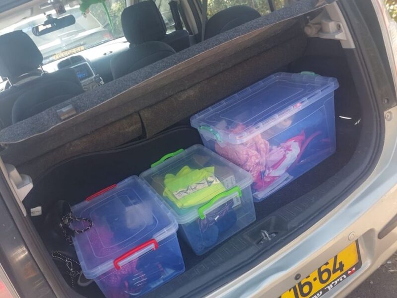 דיהטסו סיריון 2008